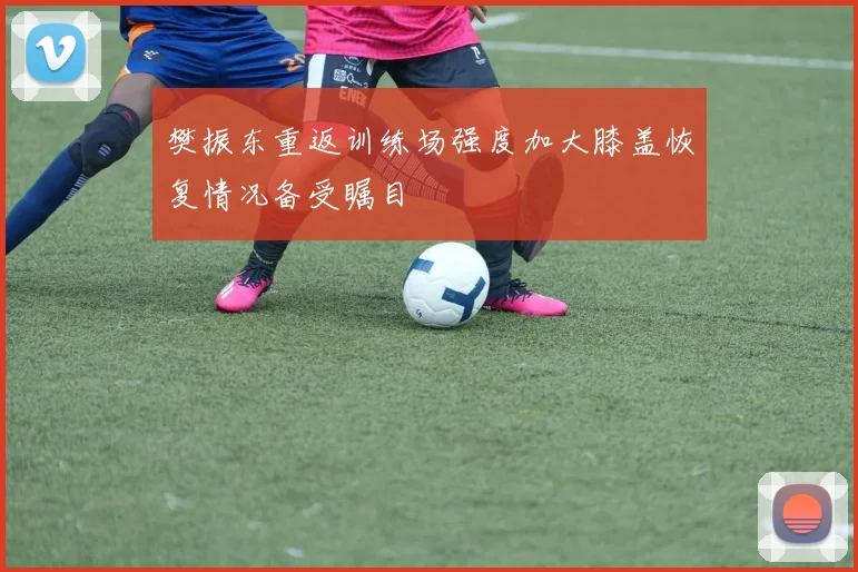 樊振东重返训练场强度加大膝盖恢复情况备受瞩目