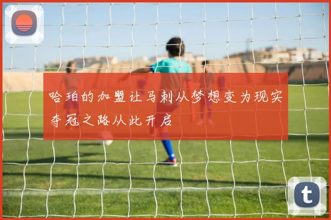 哈珀的加盟让马刺从梦想变为现实夺冠之路从此开启